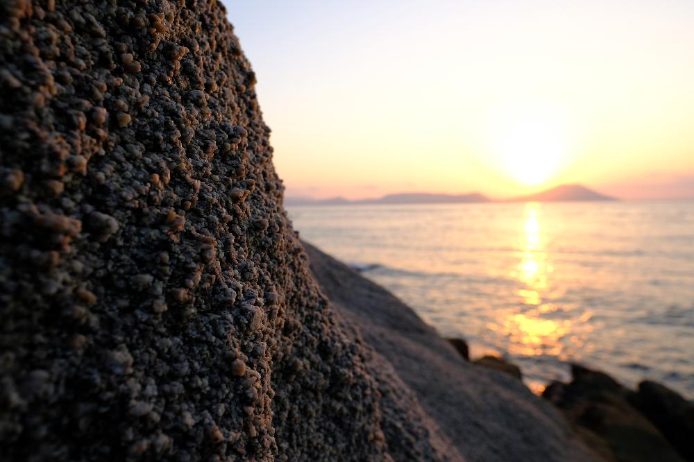 小豆島　西側海岸　朝日